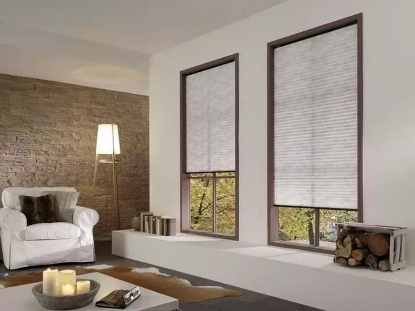 Plisy — zbliżenie